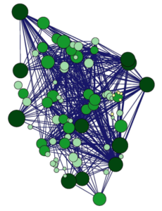 Trees And Their Relationship With Fungal Networks; Are Their ...